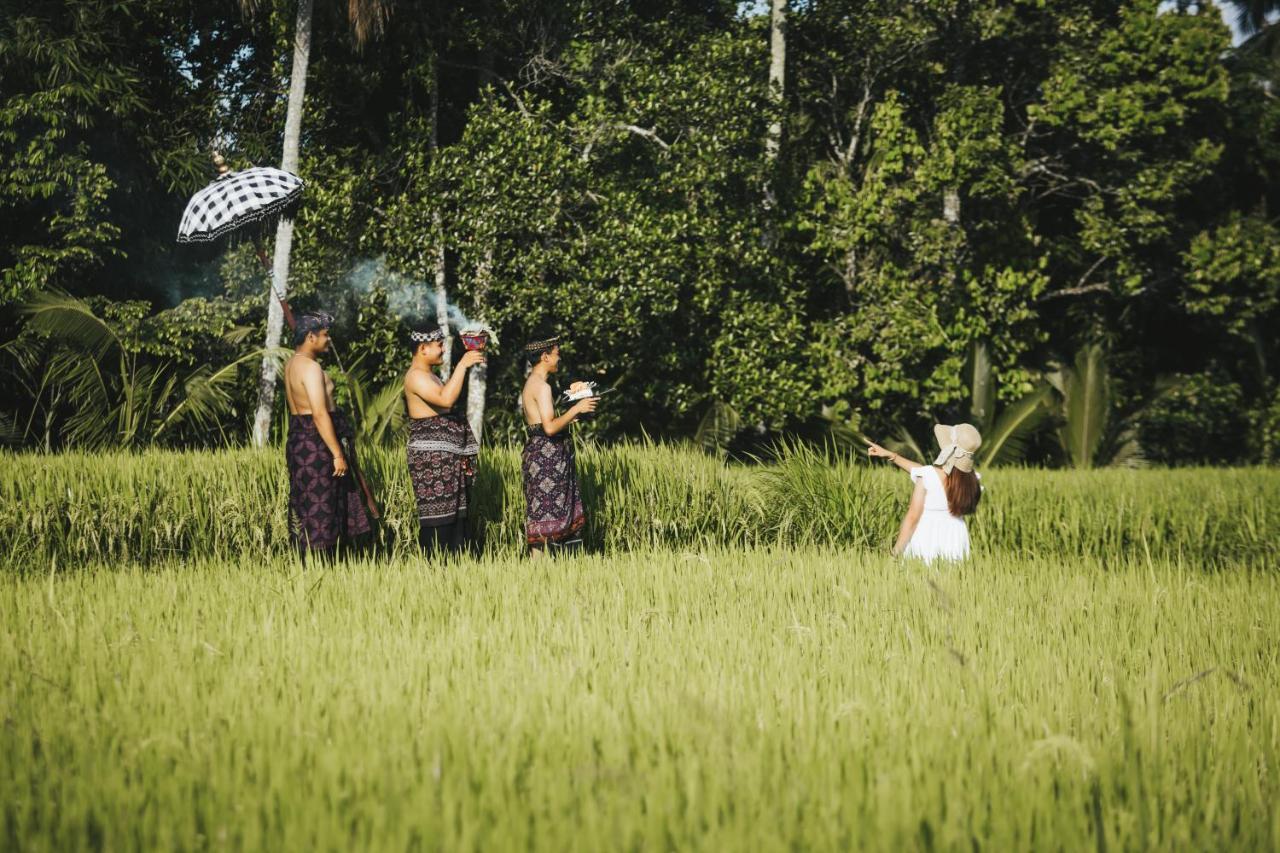 Sunshine Villas Ubud Kültér fotó